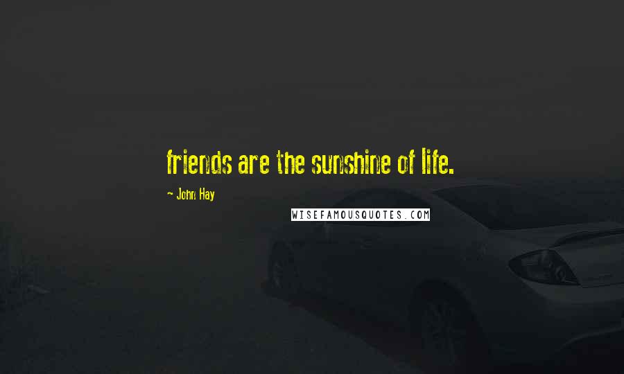 John Hay Quotes: friends are the sunshine of life.