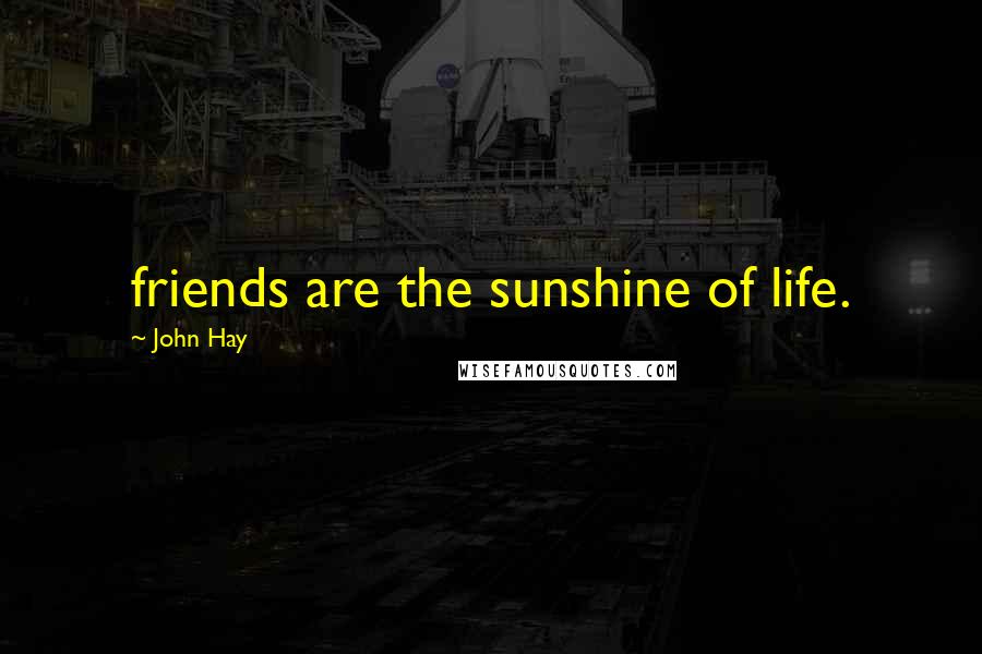 John Hay Quotes: friends are the sunshine of life.