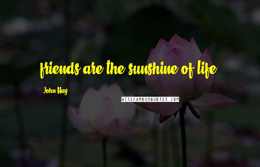 John Hay Quotes: friends are the sunshine of life.