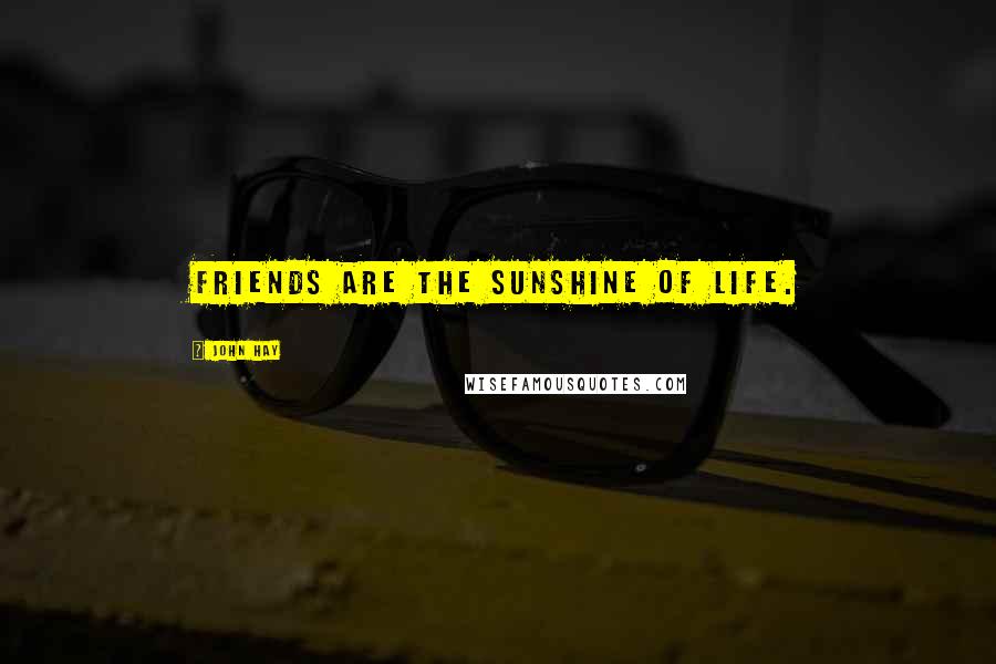 John Hay Quotes: friends are the sunshine of life.