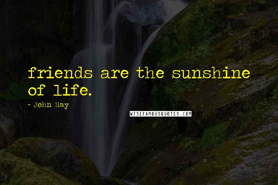 John Hay Quotes: friends are the sunshine of life.