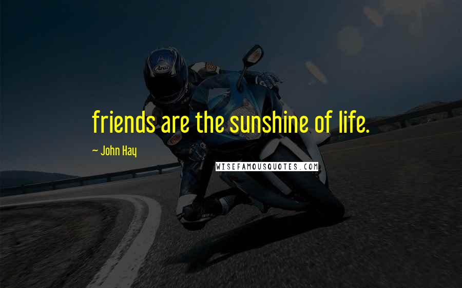 John Hay Quotes: friends are the sunshine of life.