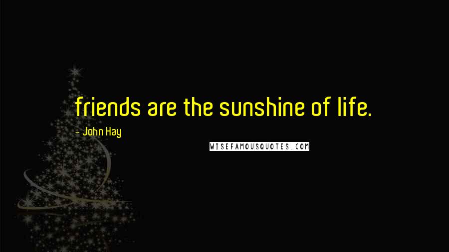 John Hay Quotes: friends are the sunshine of life.