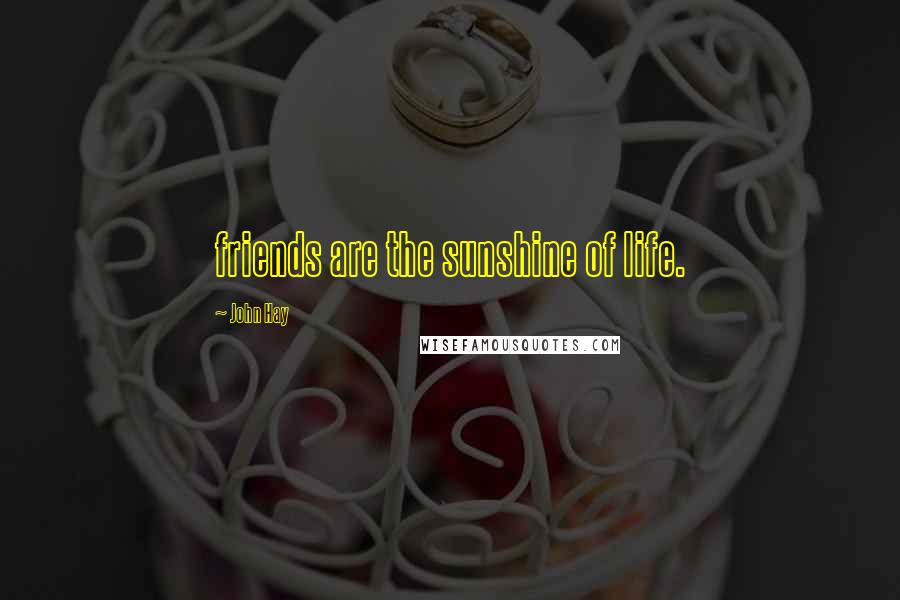 John Hay Quotes: friends are the sunshine of life.