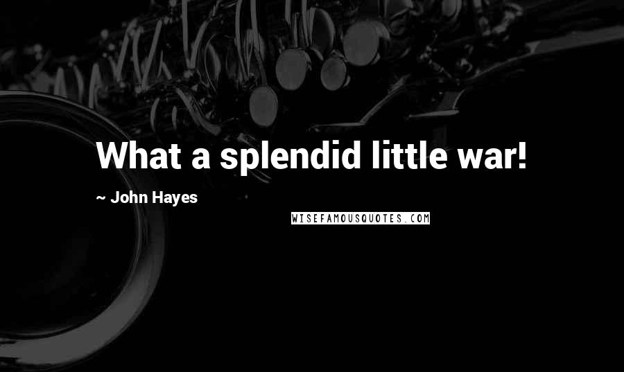 John Hayes Quotes: What a splendid little war!