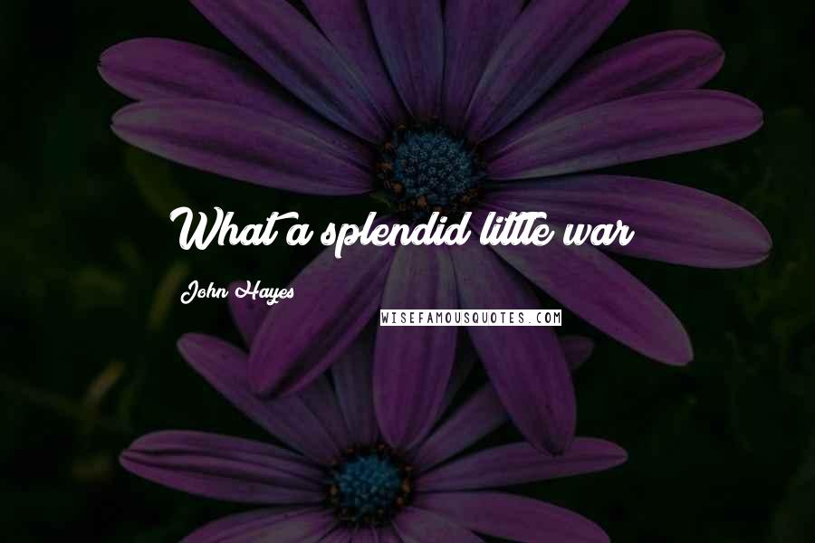 John Hayes Quotes: What a splendid little war!