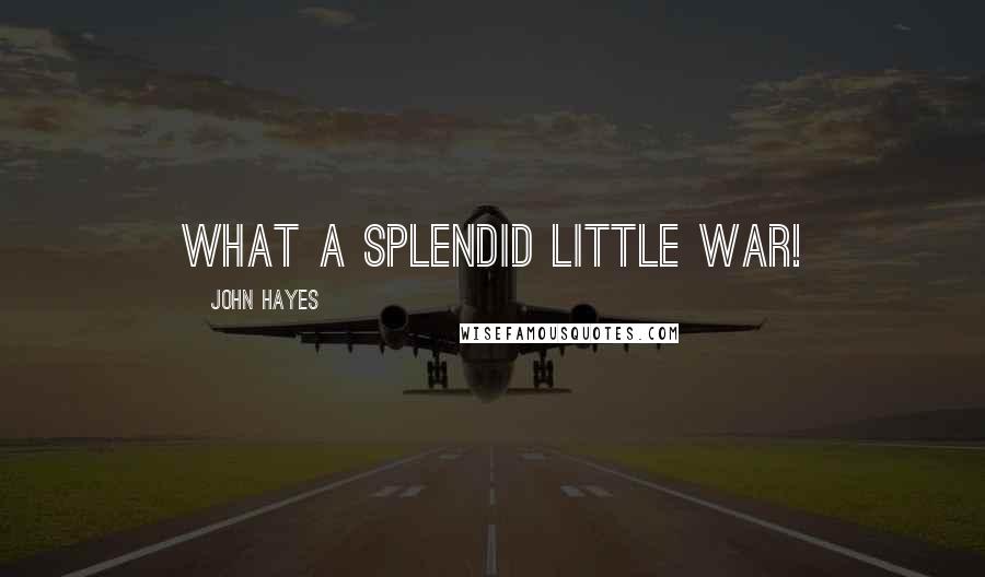 John Hayes Quotes: What a splendid little war!