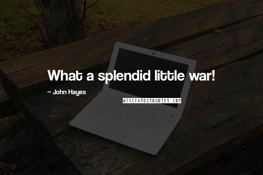 John Hayes Quotes: What a splendid little war!