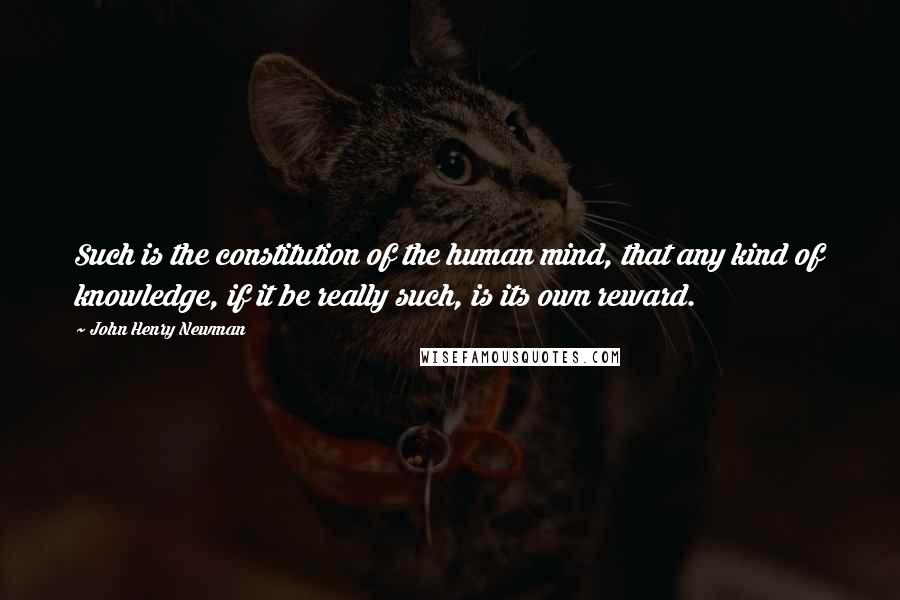 John Henry Newman Quotes: Such is the constitution of the human mind, that any kind of knowledge, if it be really such, is its own reward.