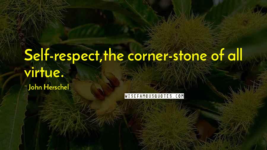 John Herschel Quotes: Self-respect,the corner-stone of all virtue.