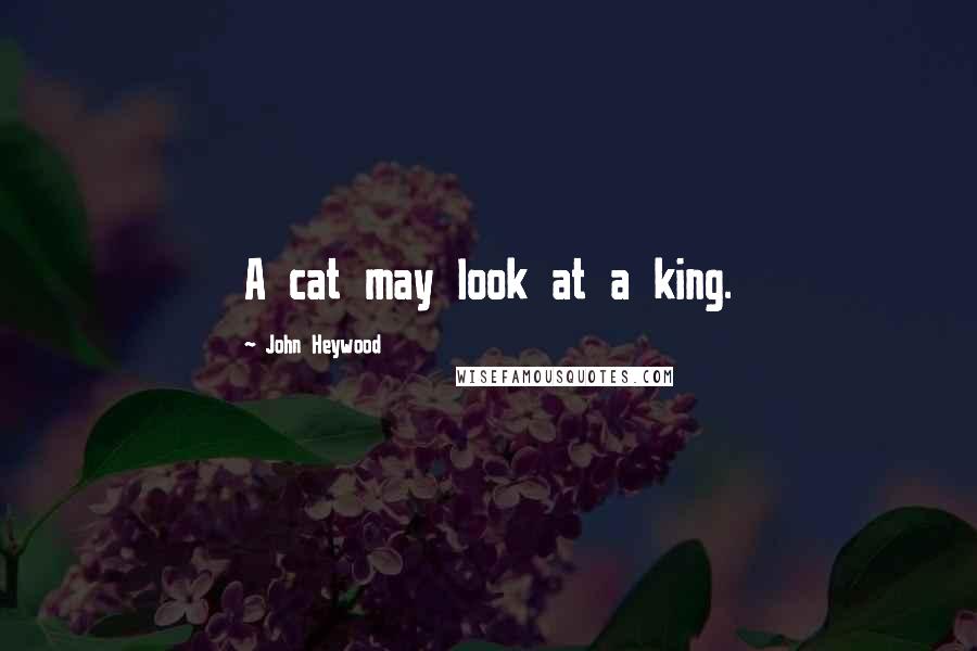 John Heywood Quotes: A cat may look at a king.