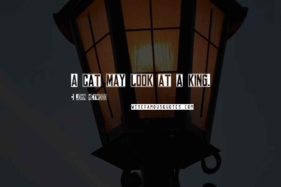 John Heywood Quotes: A cat may look at a king.