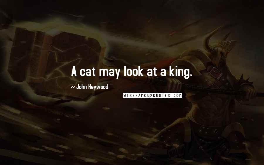 John Heywood Quotes: A cat may look at a king.