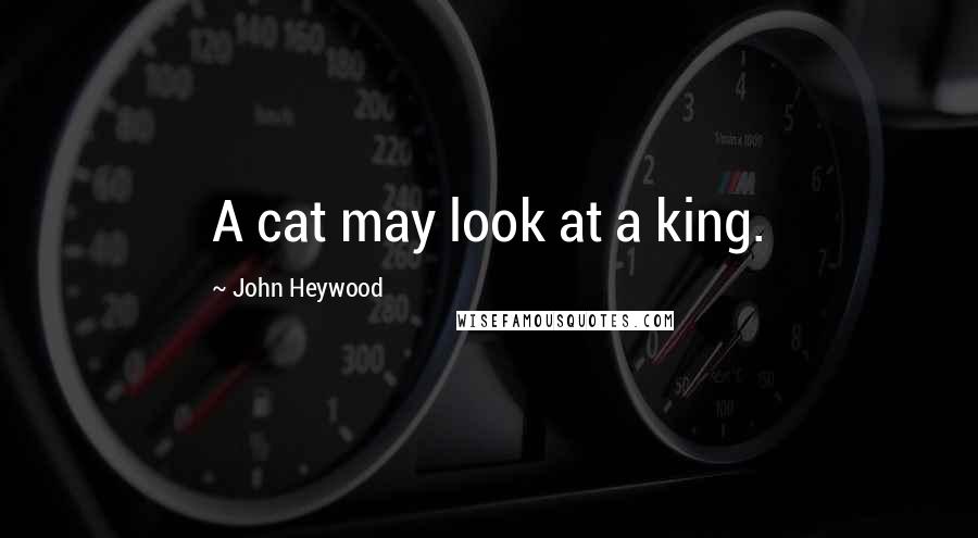 John Heywood Quotes: A cat may look at a king.