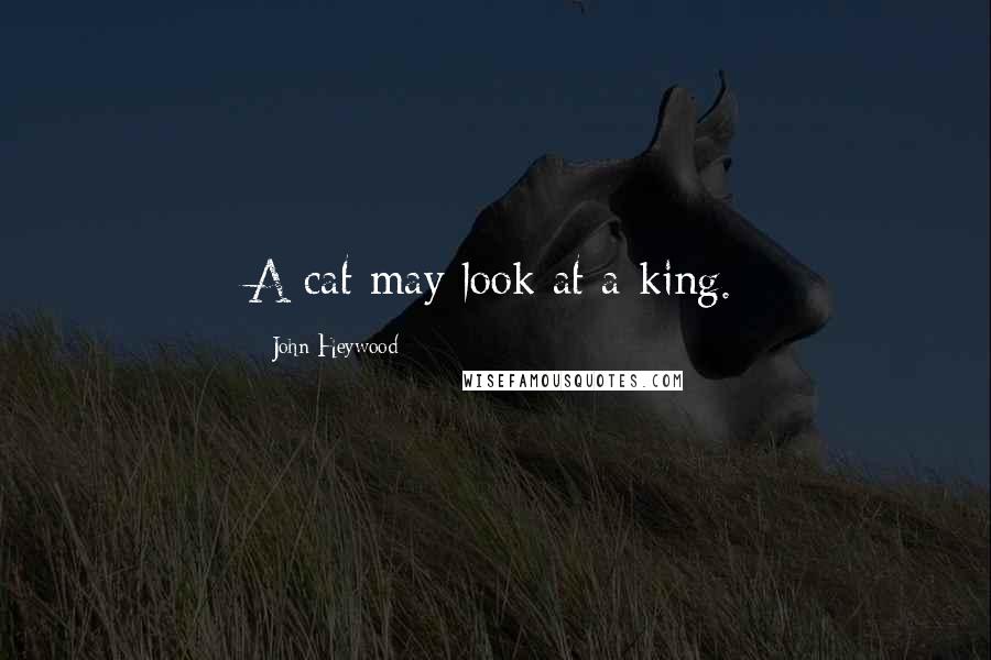 John Heywood Quotes: A cat may look at a king.