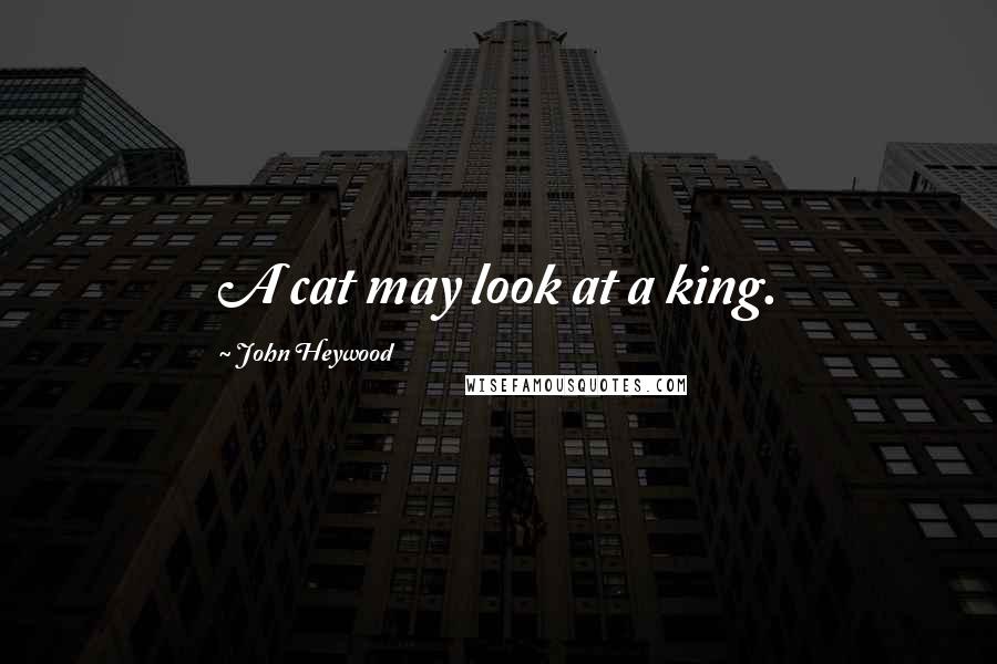 John Heywood Quotes: A cat may look at a king.