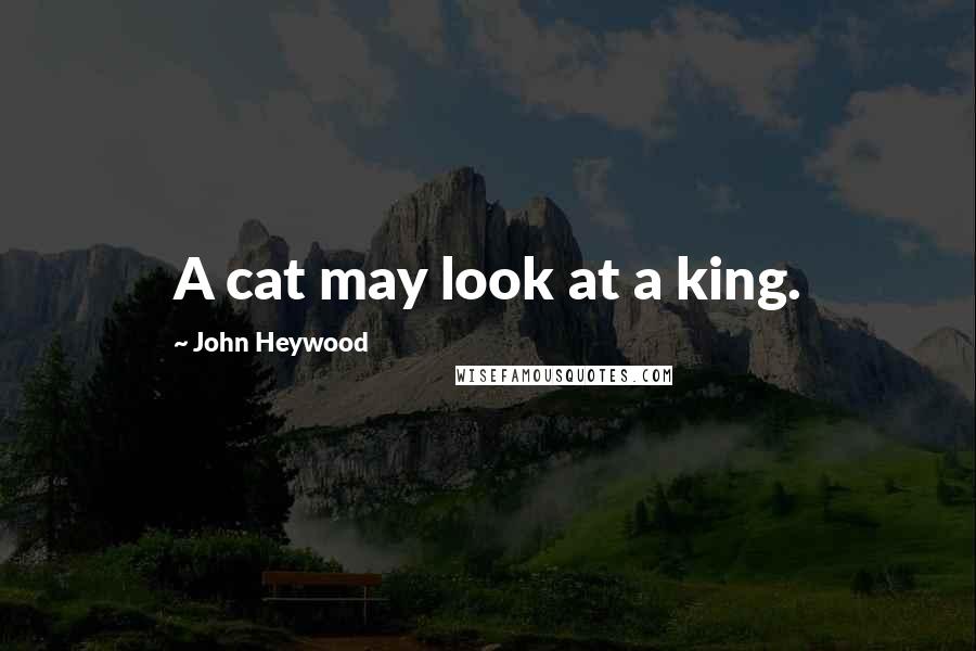 John Heywood Quotes: A cat may look at a king.