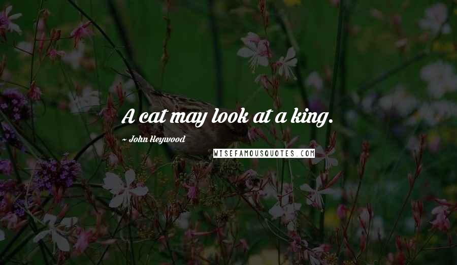 John Heywood Quotes: A cat may look at a king.