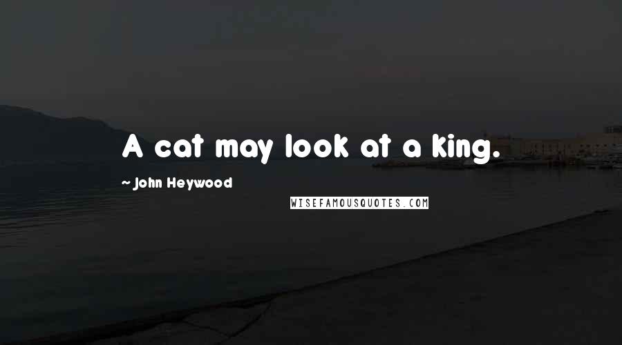 John Heywood Quotes: A cat may look at a king.