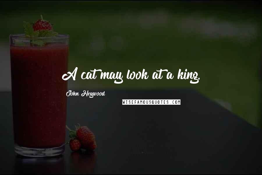 John Heywood Quotes: A cat may look at a king.