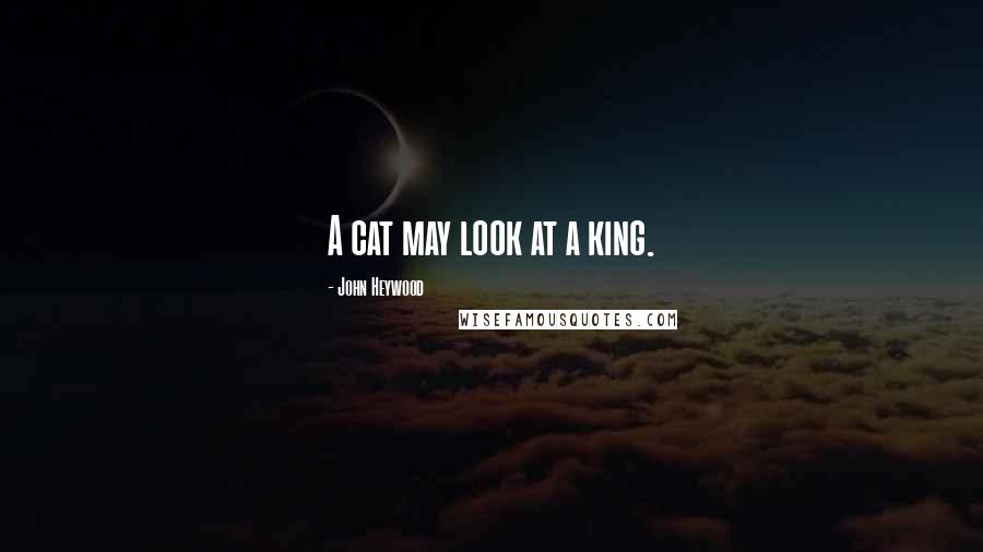 John Heywood Quotes: A cat may look at a king.