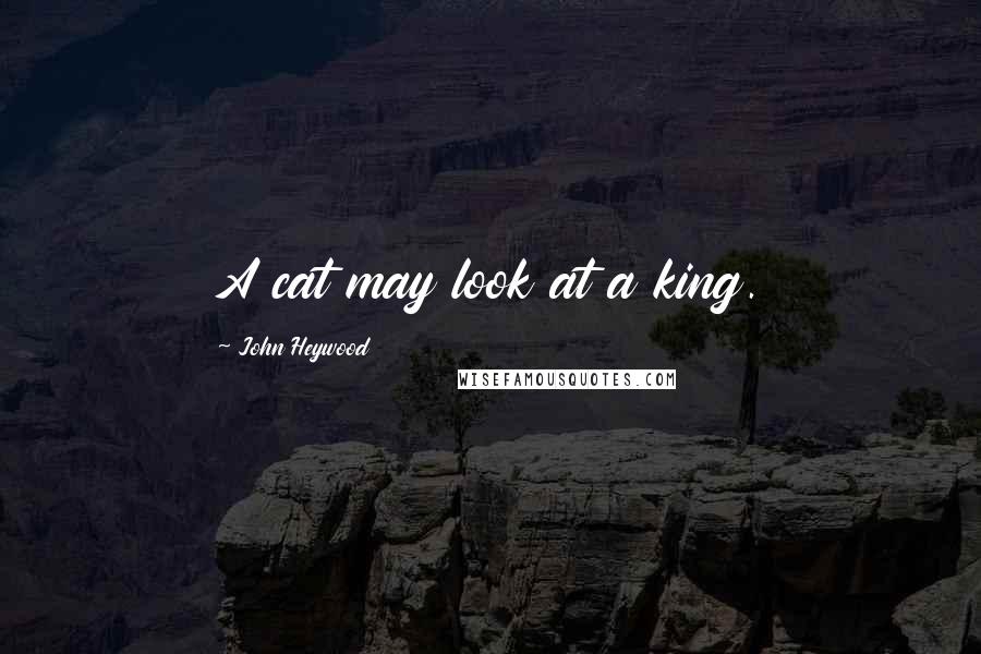 John Heywood Quotes: A cat may look at a king.