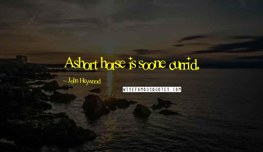 John Heywood Quotes: A short horse is soone currid.