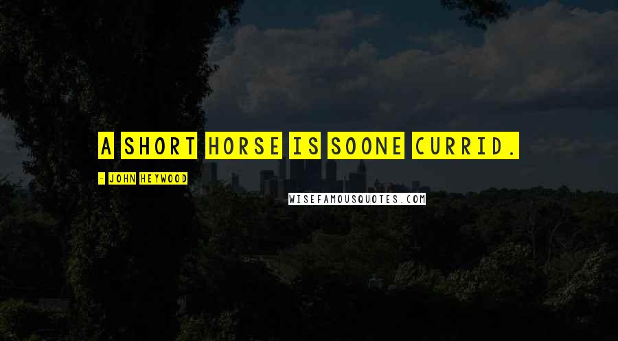 John Heywood Quotes: A short horse is soone currid.