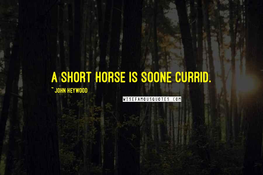 John Heywood Quotes: A short horse is soone currid.