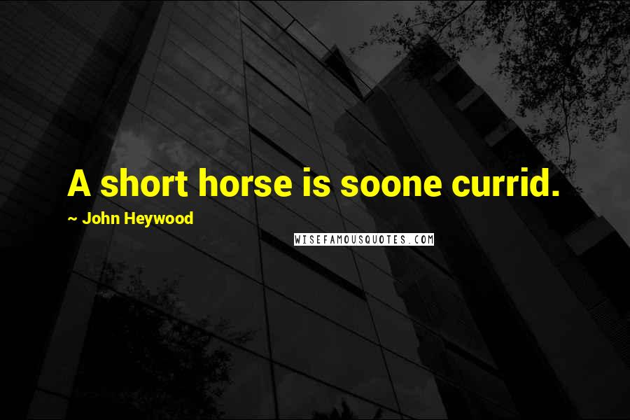 John Heywood Quotes: A short horse is soone currid.