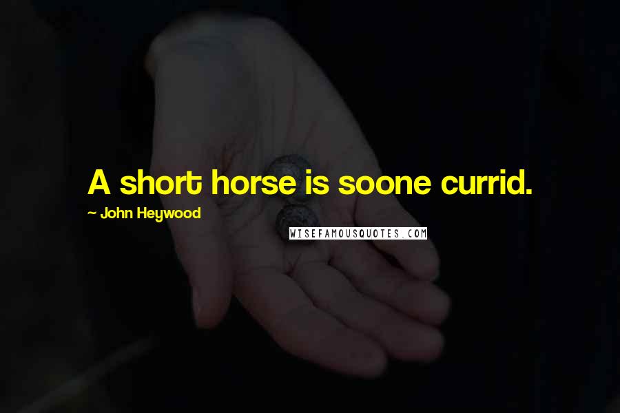 John Heywood Quotes: A short horse is soone currid.