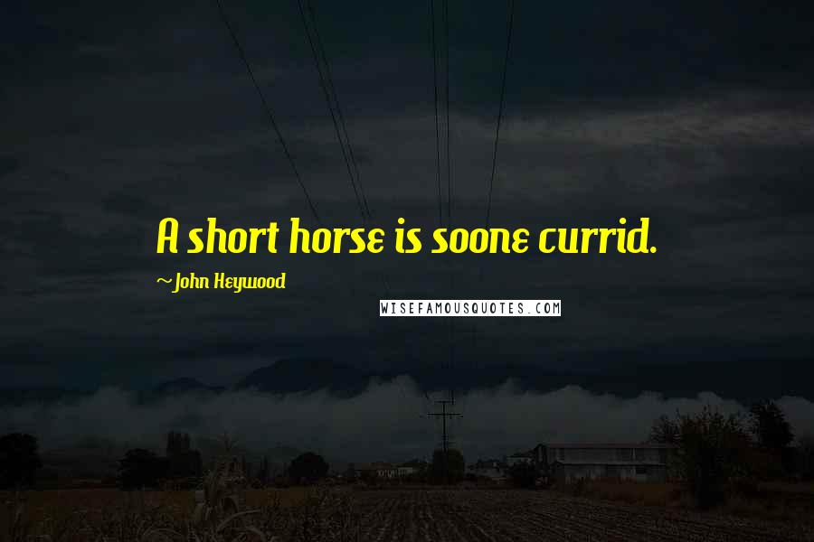 John Heywood Quotes: A short horse is soone currid.