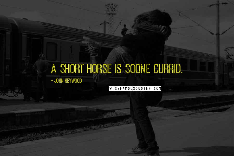 John Heywood Quotes: A short horse is soone currid.