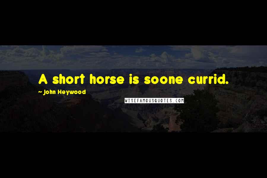 John Heywood Quotes: A short horse is soone currid.