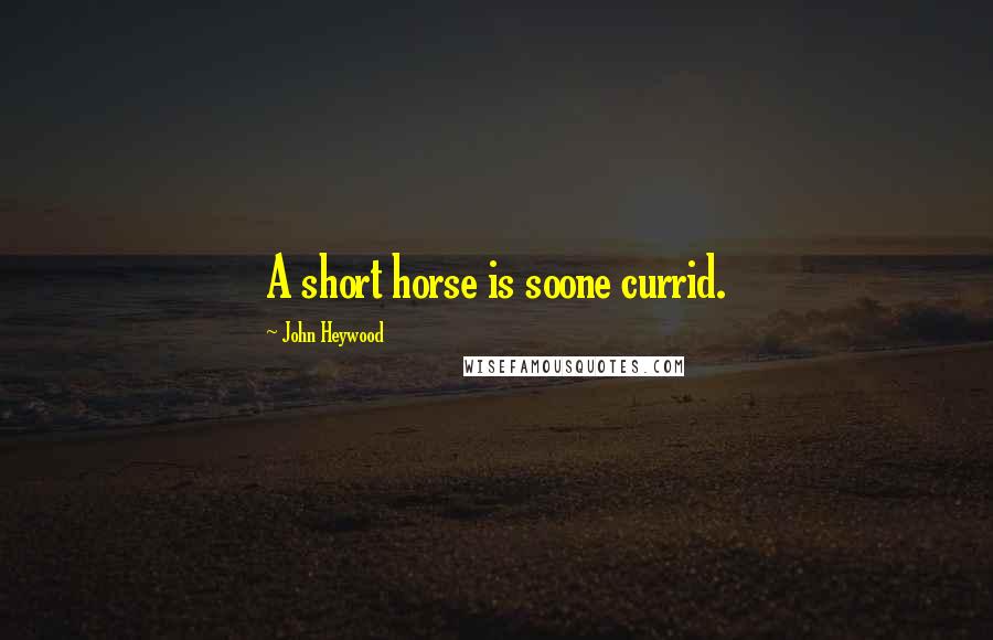 John Heywood Quotes: A short horse is soone currid.