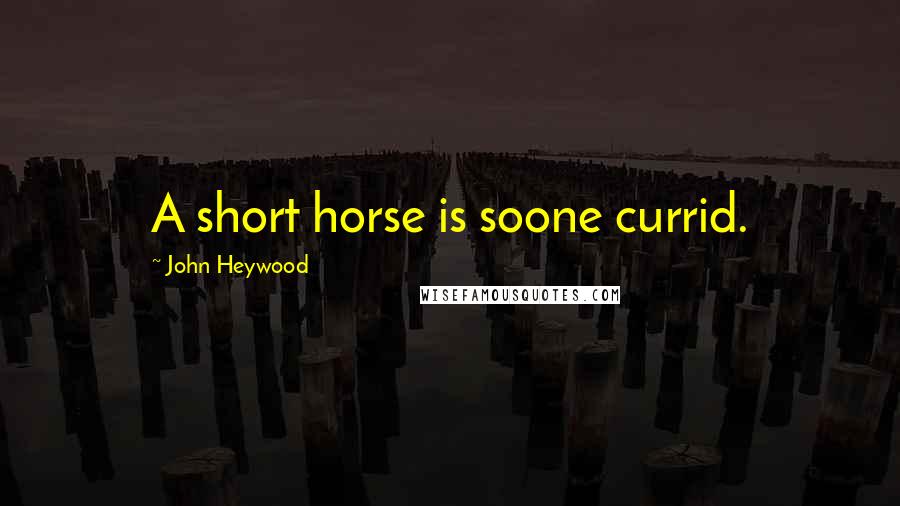 John Heywood Quotes: A short horse is soone currid.