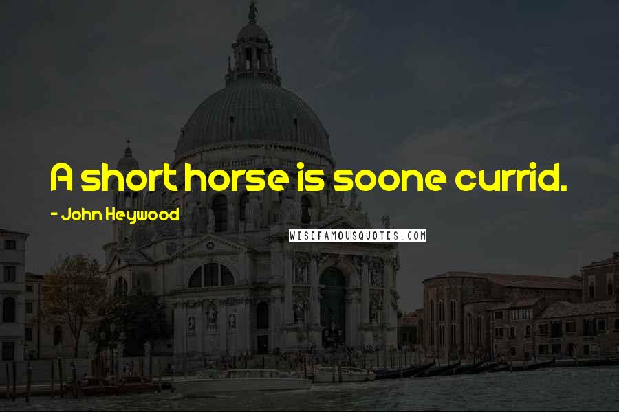 John Heywood Quotes: A short horse is soone currid.