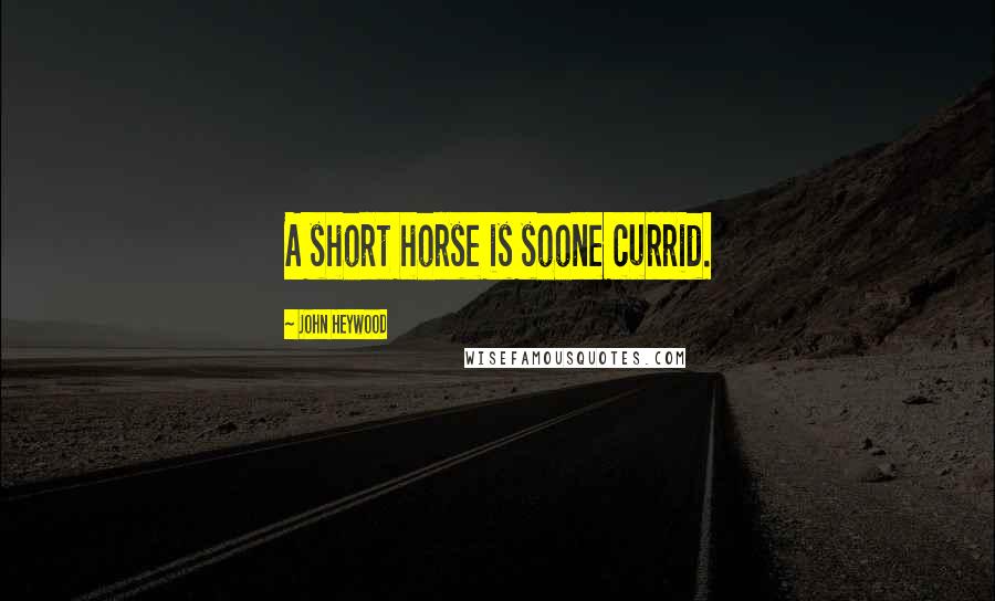 John Heywood Quotes: A short horse is soone currid.