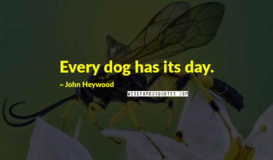 John Heywood Quotes: Every dog has its day.