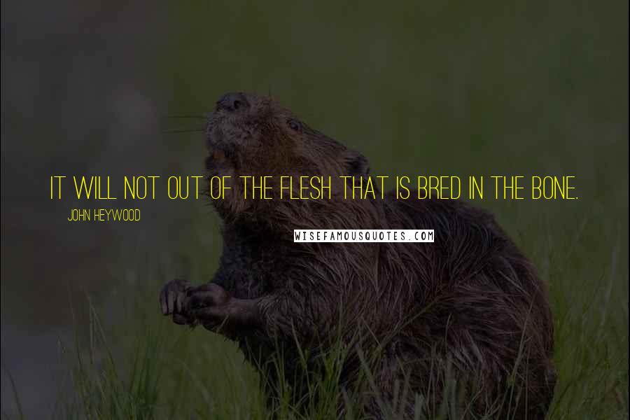 John Heywood Quotes: It will not out of the flesh that is bred in the bone.