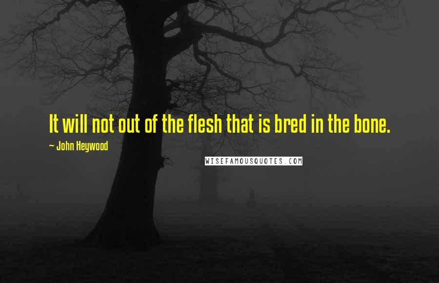 John Heywood Quotes: It will not out of the flesh that is bred in the bone.