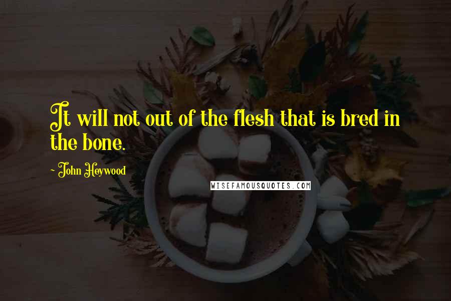 John Heywood Quotes: It will not out of the flesh that is bred in the bone.