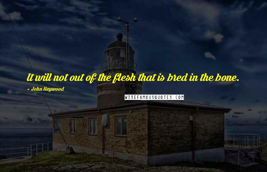 John Heywood Quotes: It will not out of the flesh that is bred in the bone.