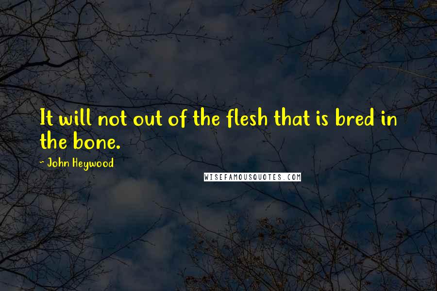 John Heywood Quotes: It will not out of the flesh that is bred in the bone.