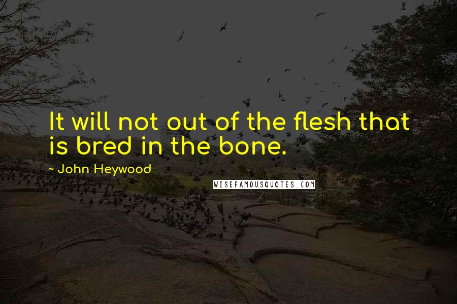 John Heywood Quotes: It will not out of the flesh that is bred in the bone.