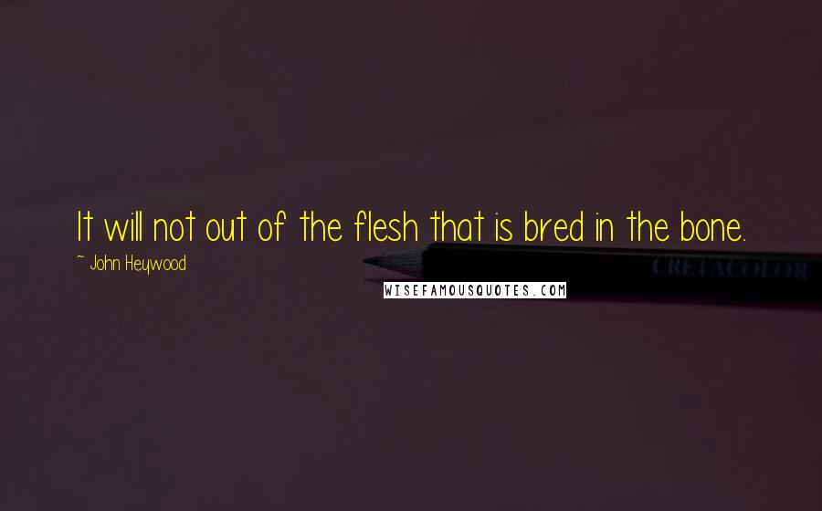 John Heywood Quotes: It will not out of the flesh that is bred in the bone.