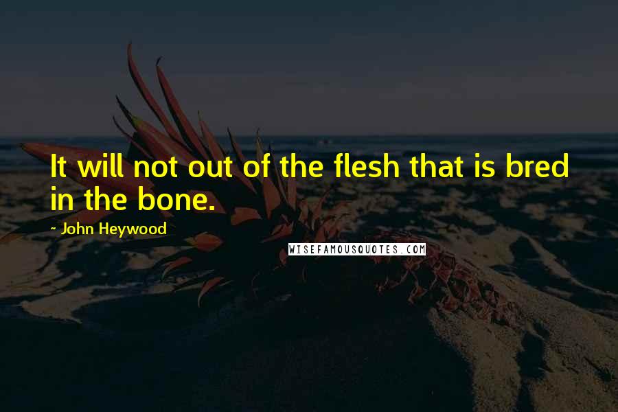 John Heywood Quotes: It will not out of the flesh that is bred in the bone.