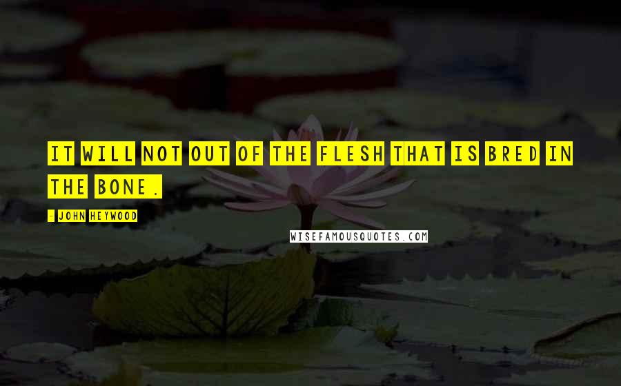 John Heywood Quotes: It will not out of the flesh that is bred in the bone.