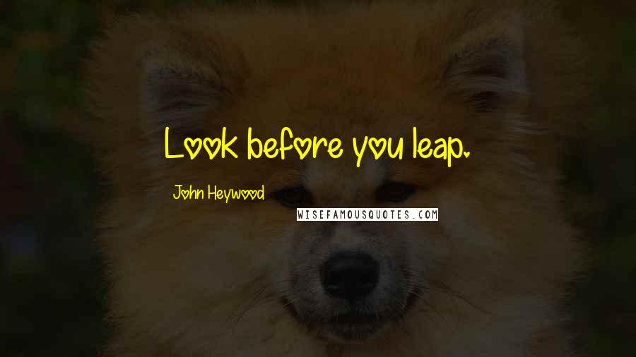 John Heywood Quotes: Look before you leap.