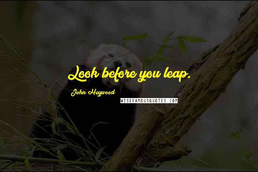 John Heywood Quotes: Look before you leap.